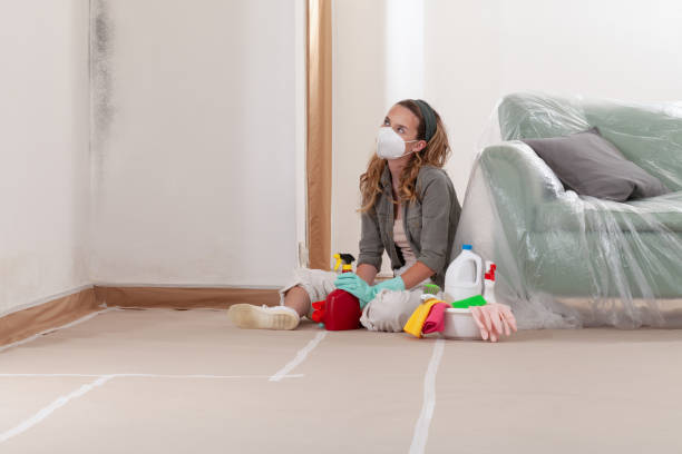 Reliable Black Mold Remediation contractor in Boalsburg, PA by Mold Remediation HQ